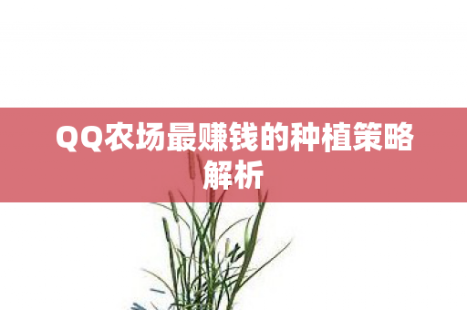 QQ农场最赚钱的种植策略解析 QQ农场最赚钱的种植策略解析