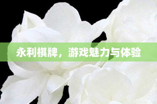 永利棋牌,游戏魅力与体验 永利棋牌,游戏魅力与体验