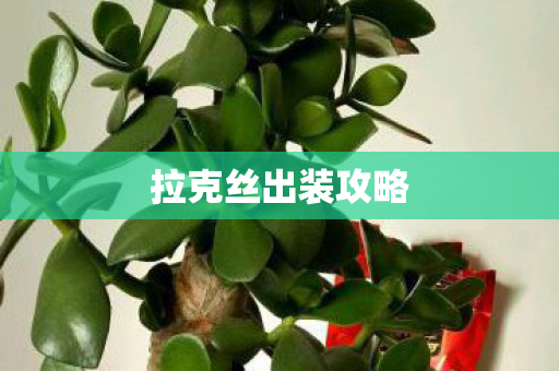 拉克丝出装攻略 拉克丝出装攻略