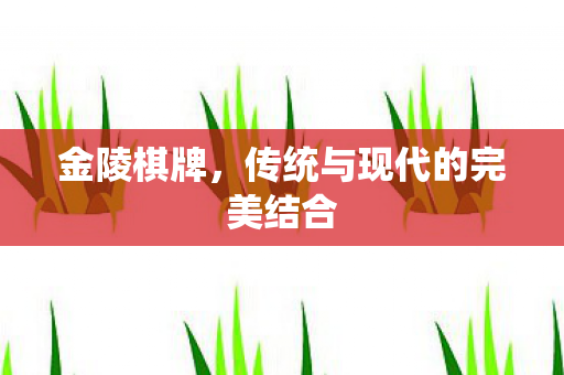 金陵棋牌,传统与现代的完美结合 金陵棋牌,传统与现代的完美结合