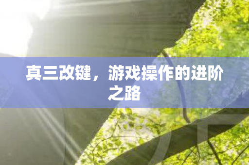 真三改键，游戏操作的进阶之路