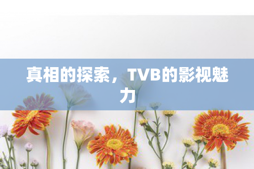 真相的探索,TVB的影视魅力 真相的探索,TVB的影视魅力