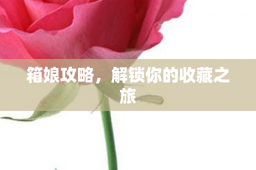 箱娘攻略,解锁你的收藏之旅 箱娘攻略,解锁你的收藏之旅