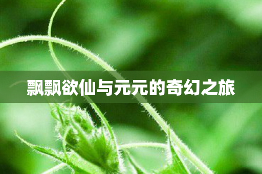 飘飘欲仙与元元的奇幻之旅 飘飘欲仙与元元的奇幻之旅