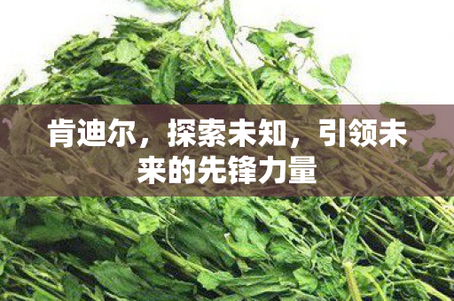肯迪尔,探索未知,引领未来的先锋力量 肯迪尔,探索未知,引领未来的先锋力量