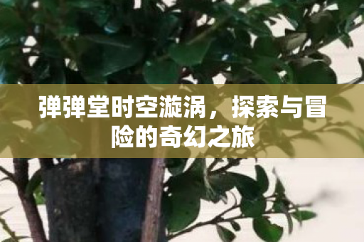 弹弹堂时空漩涡,探索与冒险的奇幻之旅 弹弹堂时空漩涡,探索与冒险的奇幻之旅