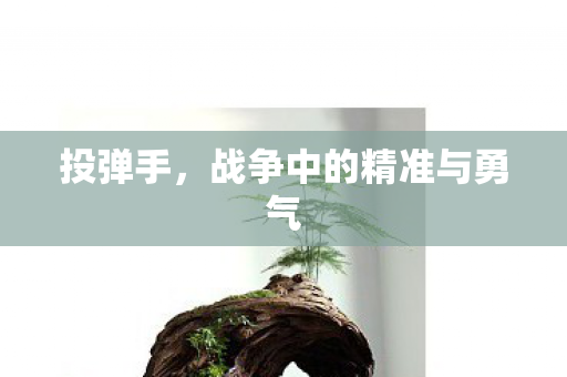 投弹手，战争中的精准与勇气