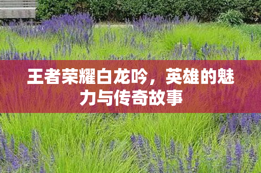 王者荣耀白龙吟,英雄的魅力与传奇故事 王者荣耀白龙吟,英雄的魅力与传奇故事
