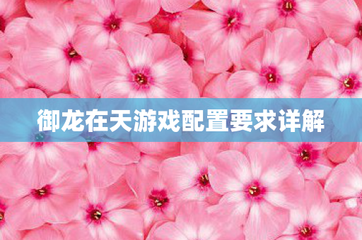 御龙在天游戏配置要求详解 御龙在天游戏配置要求详解