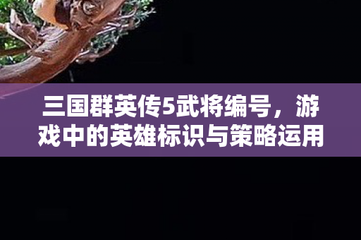 三国群英传5武将编号,游戏中的英雄标识与策略运用 三国群英传5武将编号,游戏中的英雄标识与策略运用