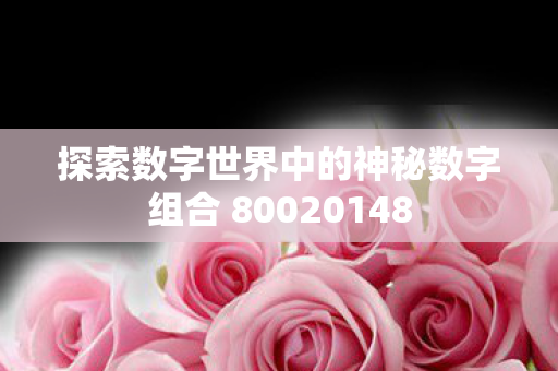 探索数字世界中的神秘数字组合 80020148