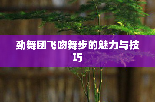 劲舞团飞吻舞步的魅力与技巧 劲舞团飞吻舞步的魅力与技巧