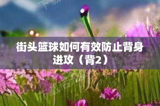 街头篮球如何有效防止背身进攻(背2) 街头篮球如何有效防止背身进攻(背2)