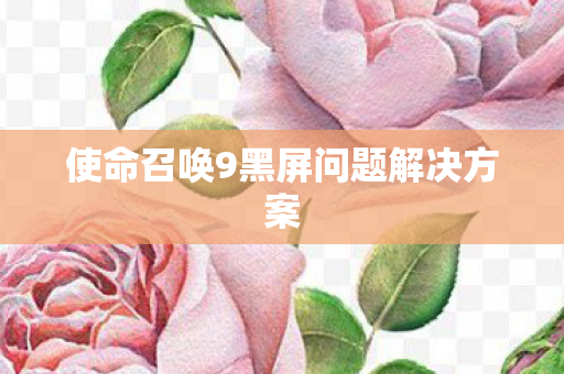 使命召唤9黑屏问题解决方案 使命召唤9黑屏问题解决方案