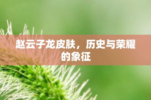 赵云子龙皮肤,历史与荣耀的象征 赵云子龙皮肤,历史与荣耀的象征