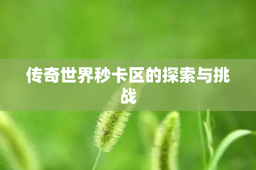 传奇世界秒卡区的探索与挑战 传奇世界秒卡区的探索与挑战