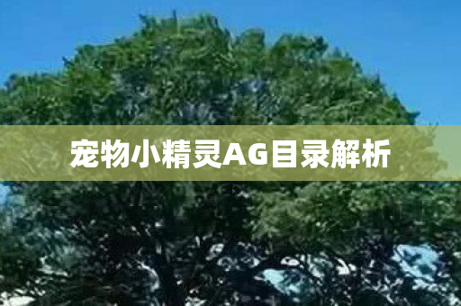 宠物小精灵AG目录解析 宠物小精灵AG目录解析