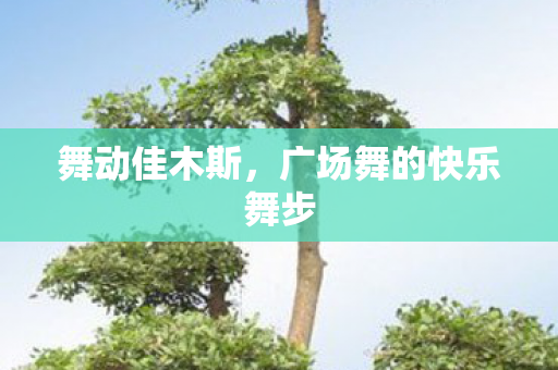 舞动佳木斯,广场舞的快乐舞步 舞动佳木斯,广场舞的快乐舞步