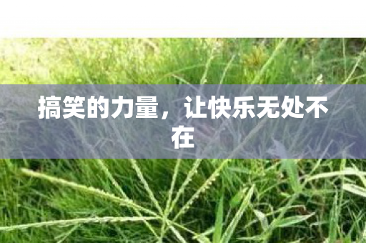 搞笑的力量,让快乐无处不在 搞笑的力量,让快乐无处不在