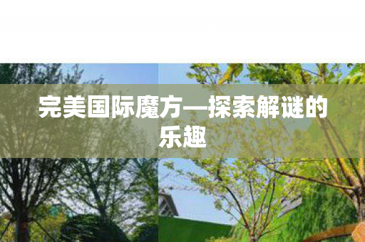 完美国际魔方—探索解谜的乐趣 完美国际魔方—探索解谜的乐趣
