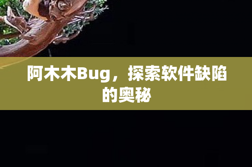 阿木木Bug，探索软件缺陷的奥秘