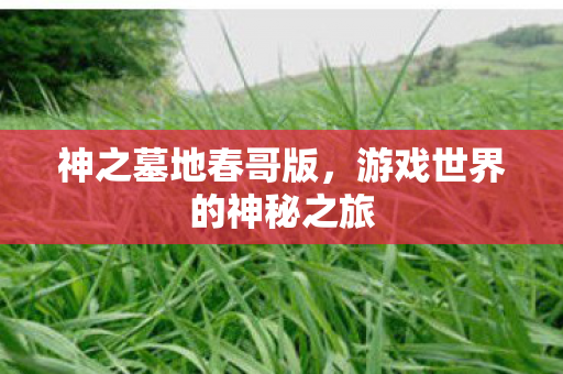 神之墓地春哥版，游戏世界的神秘之旅