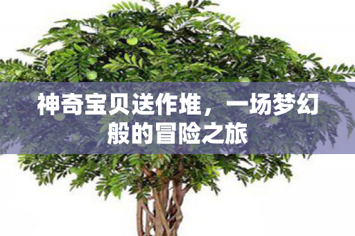 神奇宝贝送作堆,一场梦幻般的冒险之旅 神奇宝贝送作堆,一场梦幻般的冒险之旅