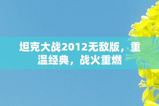 坦克大战2012无敌版,重温经典,战火重燃 坦克大战2012无敌版,重温经典,战火重燃
