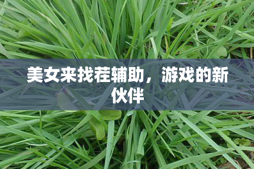 美女来找茬辅助,游戏的新伙伴 美女来找茬辅助,游戏的新伙伴