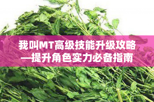我叫MT高级技能升级攻略—提升角色实力必备指南 我叫MT高级技能升级攻略—提升角色实力必备指南