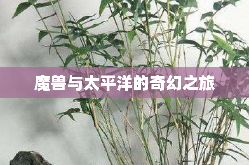 魔兽与太平洋的奇幻之旅 魔兽与太平洋的奇幻之旅