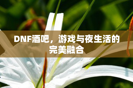 DNF酒吧,游戏与夜生活的完美融合 DNF酒吧,游戏与夜生活的完美融合