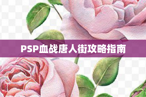 PSP血战唐人街攻略指南 PSP血战唐人街攻略指南