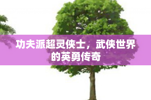 功夫派超灵侠士,武侠世界的英勇传奇 功夫派超灵侠士,武侠世界的英勇传奇