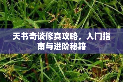 天书奇谈修真攻略，入门指南与进阶秘籍