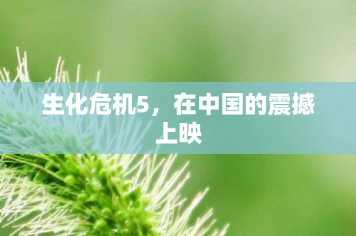 生化危机5,在中国的震撼上映 生化危机5,在中国的震撼上映