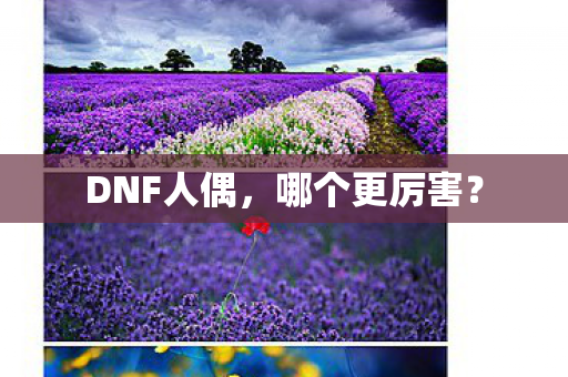 DNF人偶,哪个更厉害? DNF人偶,哪个更厉害?