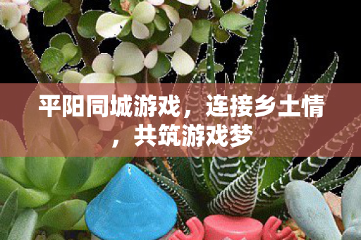 平阳同城游戏,连接乡土情,共筑游戏梦 平阳同城游戏,连接乡土情,共筑游戏梦