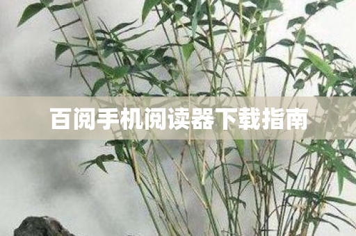 百阅手机阅读器下载指南