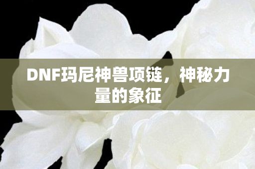 DNF玛尼神兽项链，神秘力量的象征