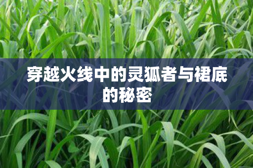 穿越火线中的灵狐者与裙底的秘密 穿越火线中的灵狐者与裙底的秘密