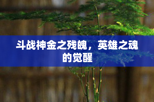 斗战神金之残魄,英雄之魂的觉醒 斗战神金之残魄,英雄之魂的觉醒