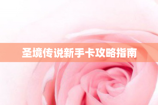 圣境传说新手卡攻略指南 圣境传说新手卡攻略指南