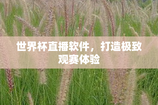 世界杯直播软件,打造极致观赛体验 世界杯直播软件,打造极致观赛体验