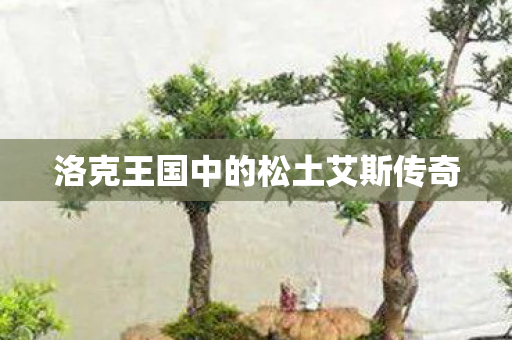 洛克王国中的松土艾斯传奇 洛克王国中的松土艾斯传奇
