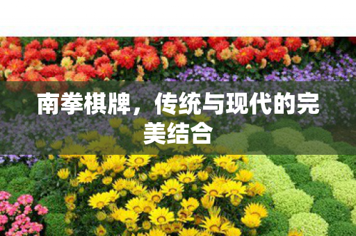 南拳棋牌,传统与现代的完美结合 南拳棋牌,传统与现代的完美结合