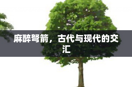 麻醉弩箭,古代与现代的交汇 麻醉弩箭,古代与现代的交汇