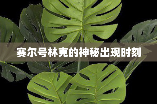 赛尔号林克的神秘出现时刻