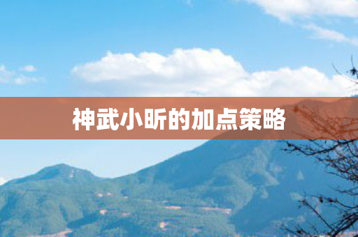 神武小昕的加点策略