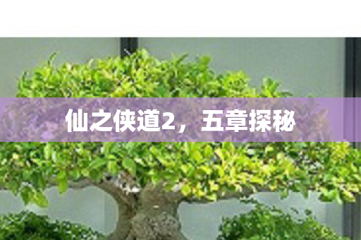 仙之侠道2，五章探秘